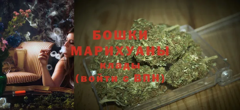 Марихуана OG Kush  Бежецк 